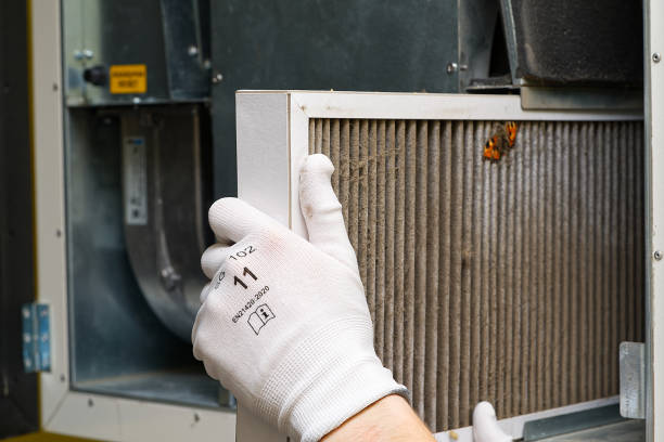 Best Air Duct Cleaning Company Near Me  in Wilton Manors, FL