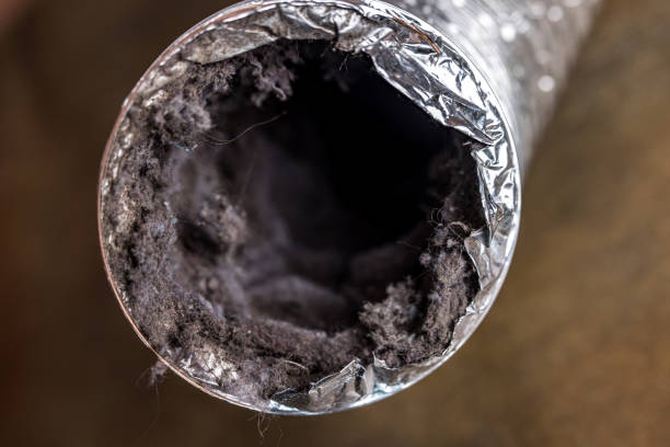 Best Air Duct Cleaning Near Me  in Wilton Manors, FL
